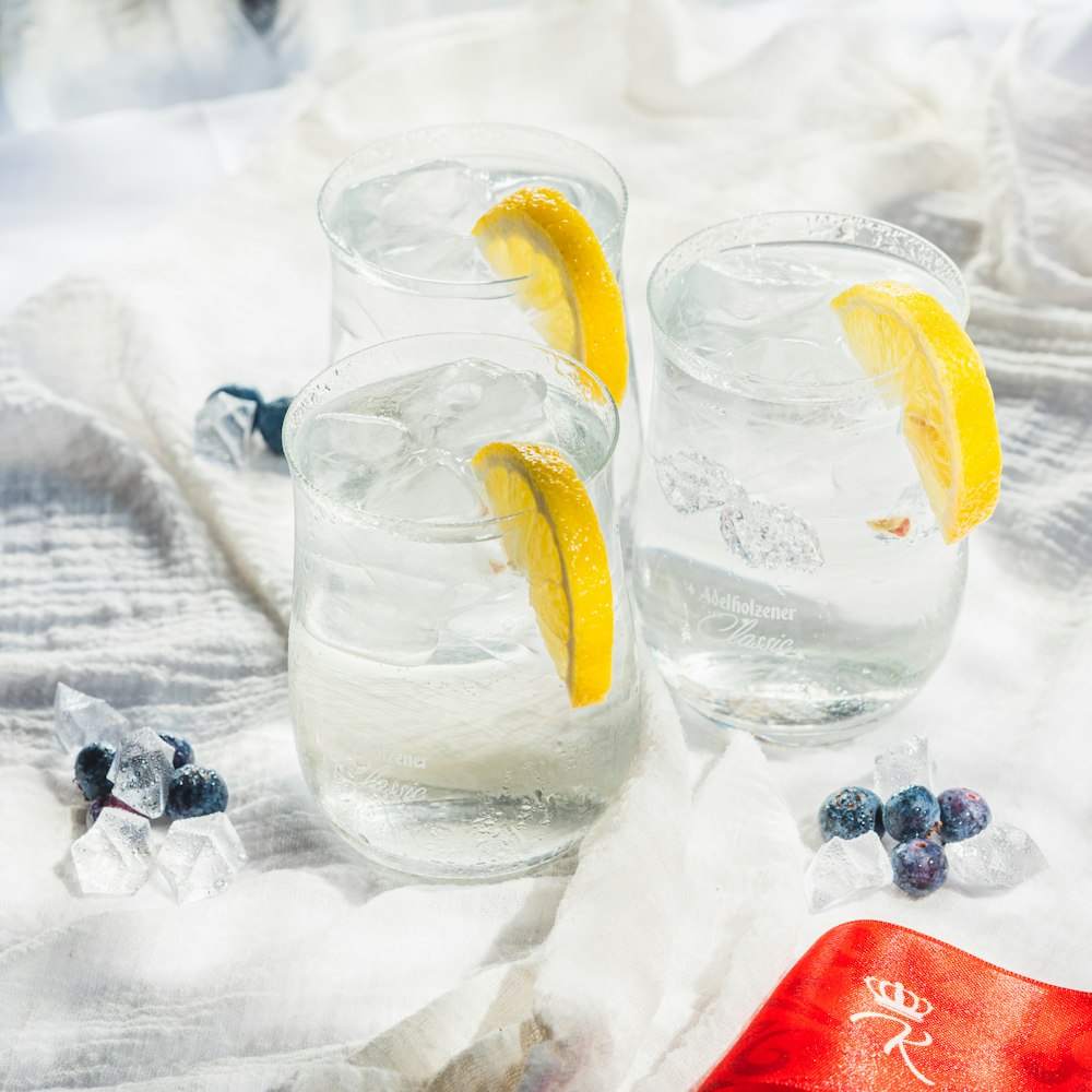 two glasses of water with lemon slices and blueberries