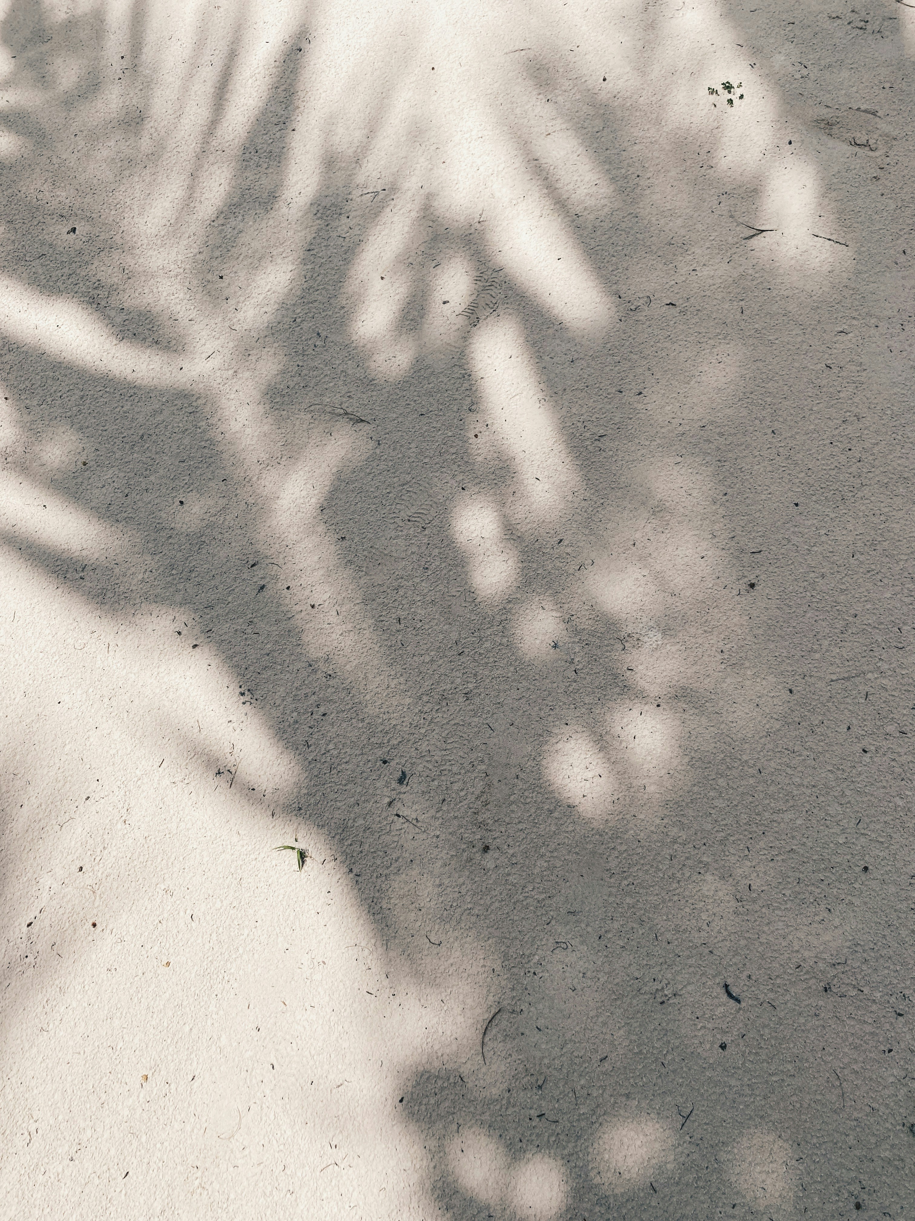 Photo by ariannawelke