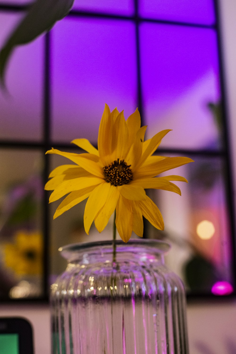 a yellow flower sitting in a glass vase