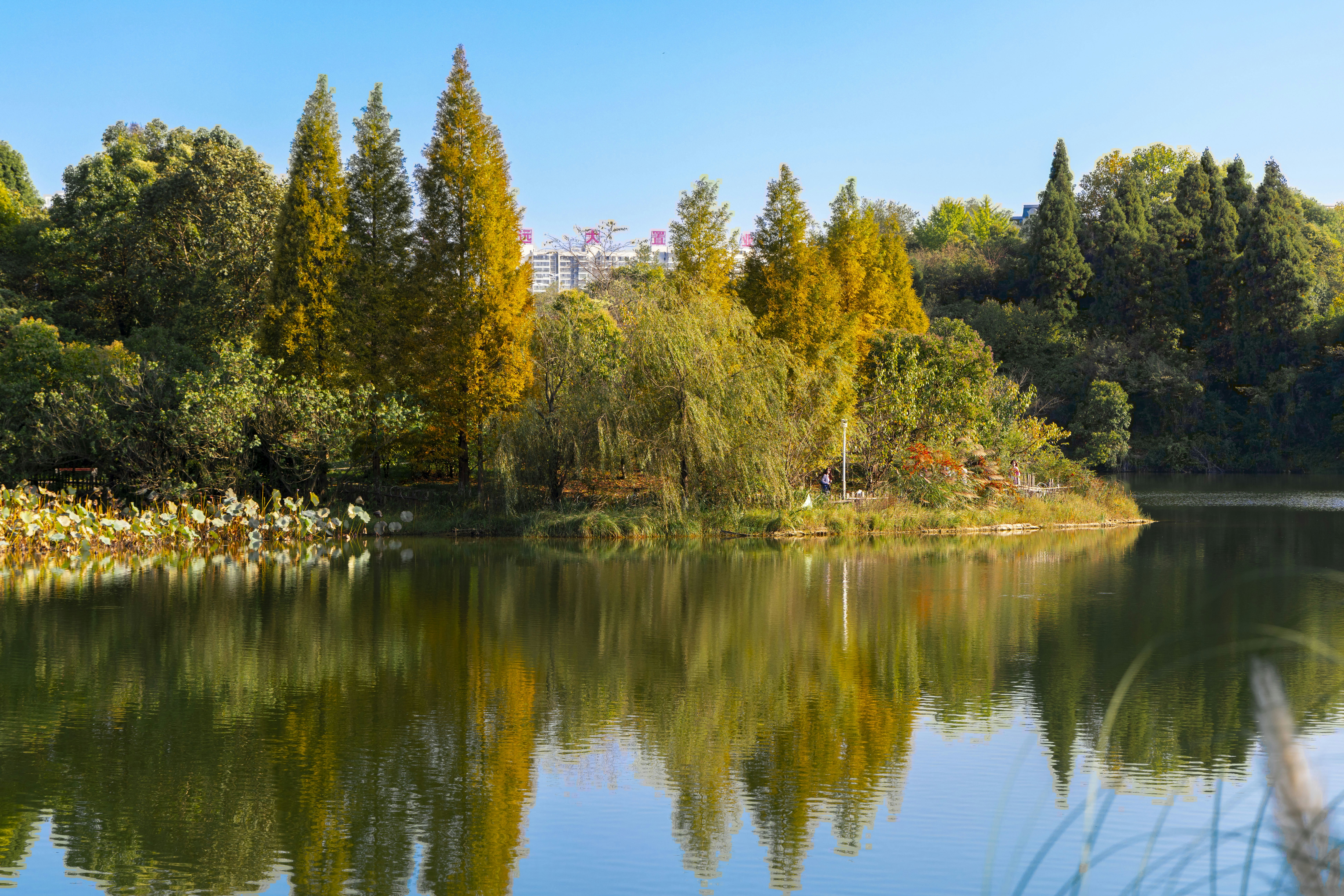 Photo by yokonoito0512