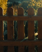 A freshly installed wooden privacy fence glowing in the afternoon sun