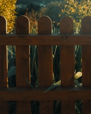 A freshly installed wooden privacy fence glowing in the afternoon sun