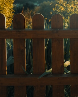 A wooden fence with evenly spaced planks set against a backdrop of tall green plants and blurred trees in the background. The light appears warm, suggesting a golden hour or autumn setting.
