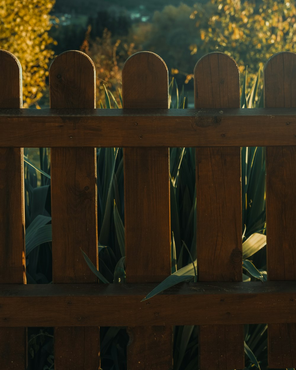 a close up of a wooden fence with plants in the background