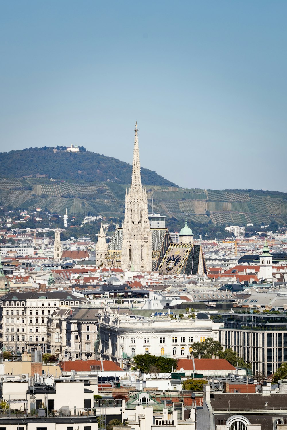 Blick auf eine Stadt mit einem Berg im Hintergrund