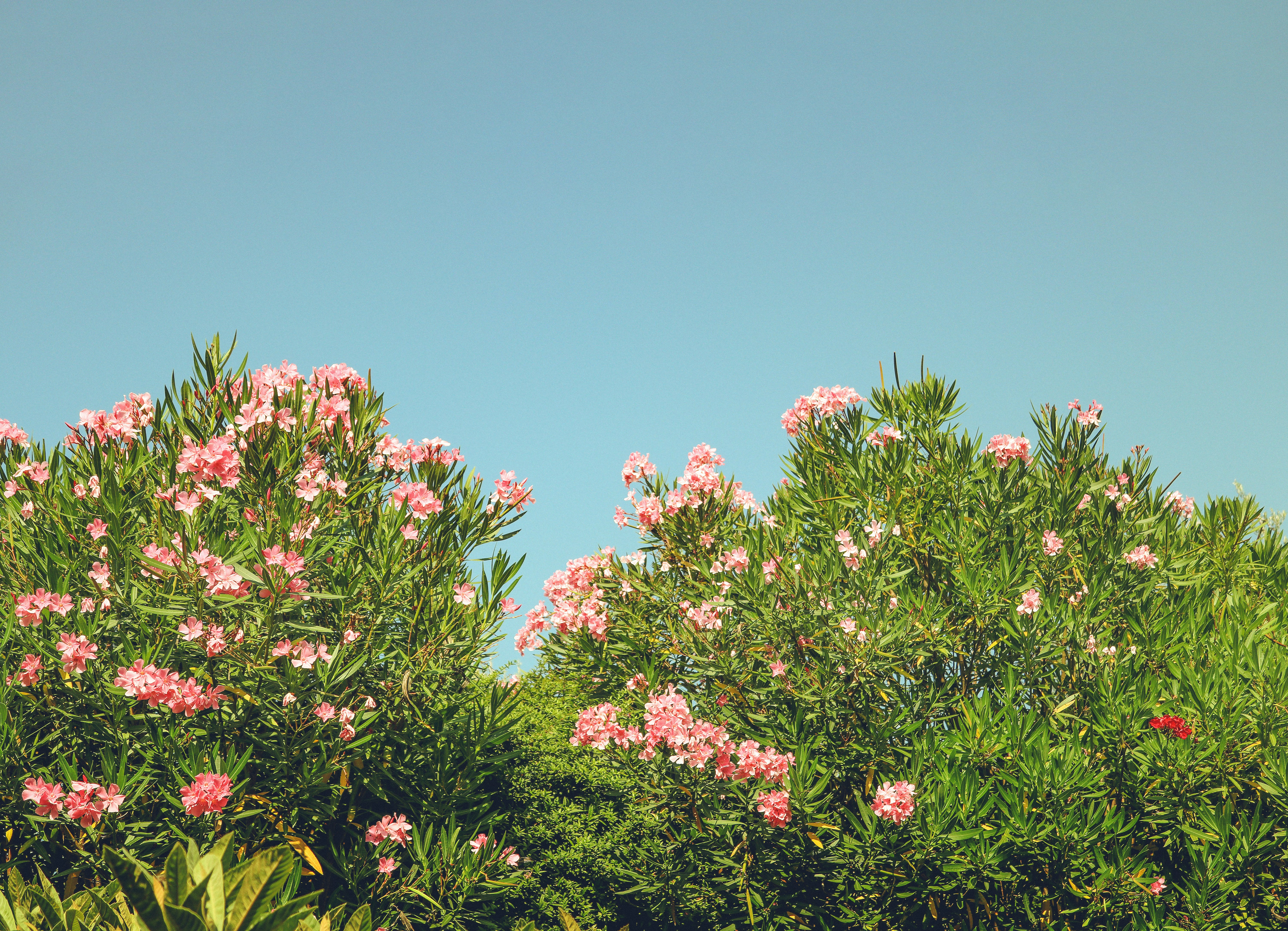 Photo by tolikrurac82