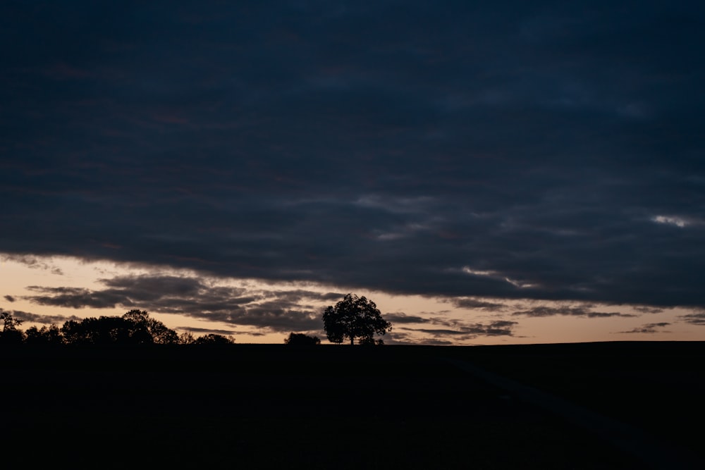 a lone tree is silhouetted against a cloudy sky