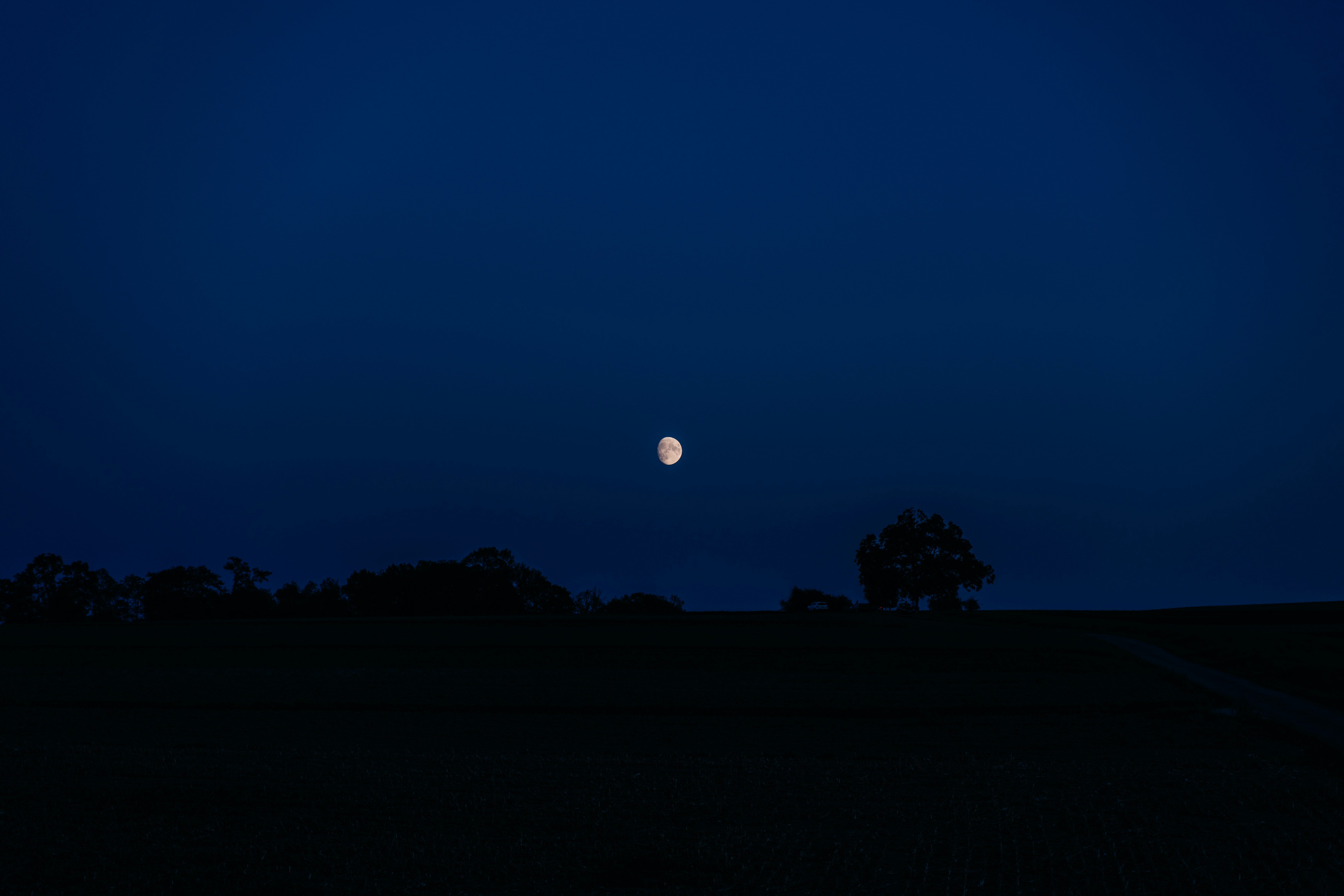 a full moon is seen in the sky above a field
