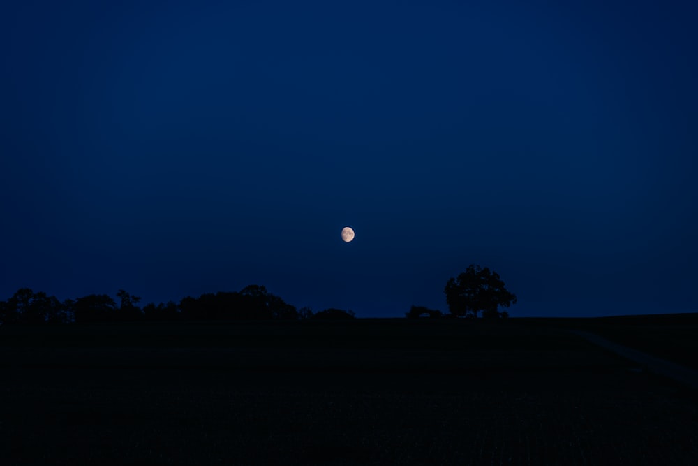 a full moon is seen in the sky above a field