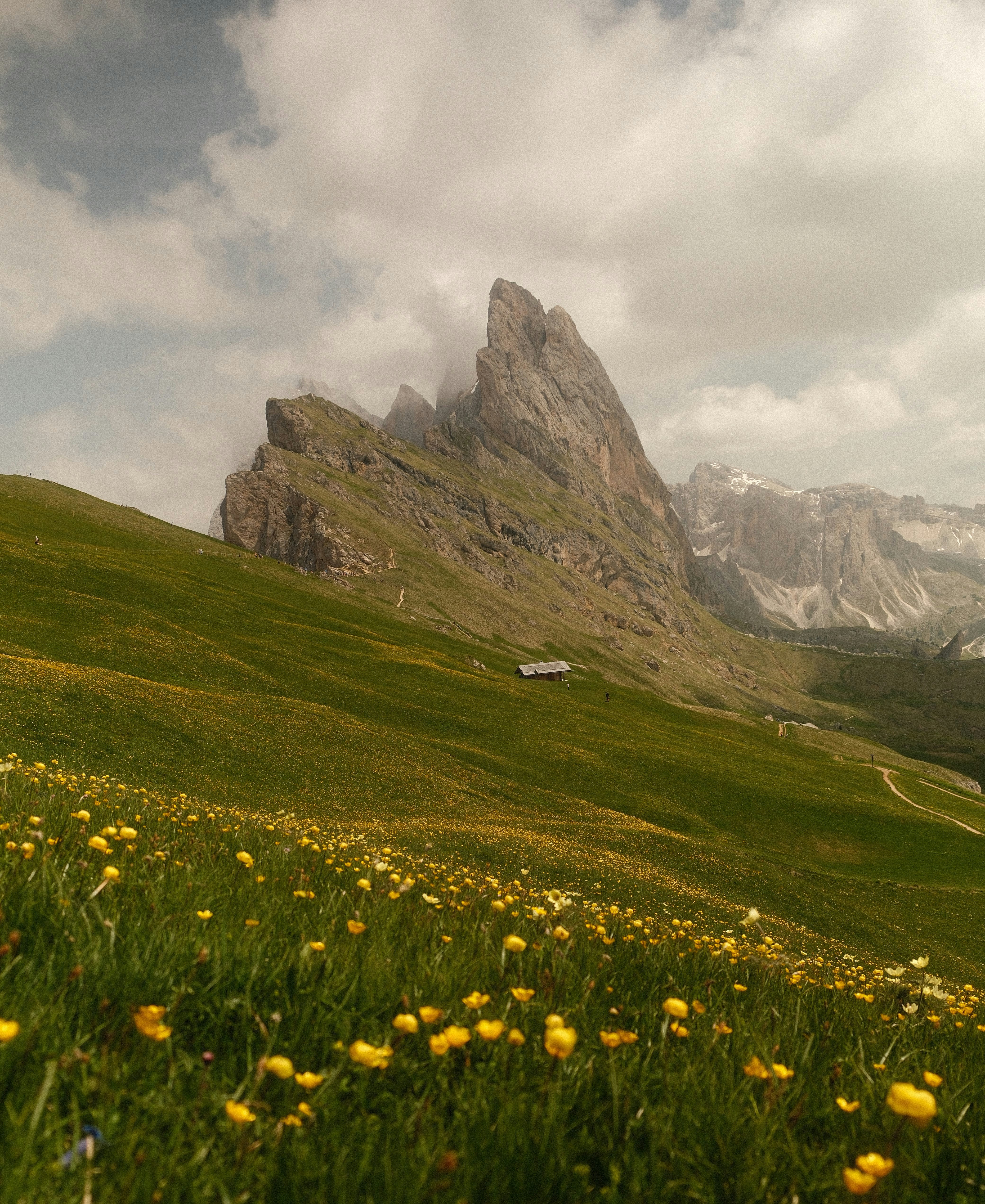 Photo by tufisalexandru