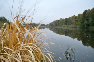 A serene outdoor retreat setting with a group stretching beside a calm lake surrounded by rust-colored autumn trees.