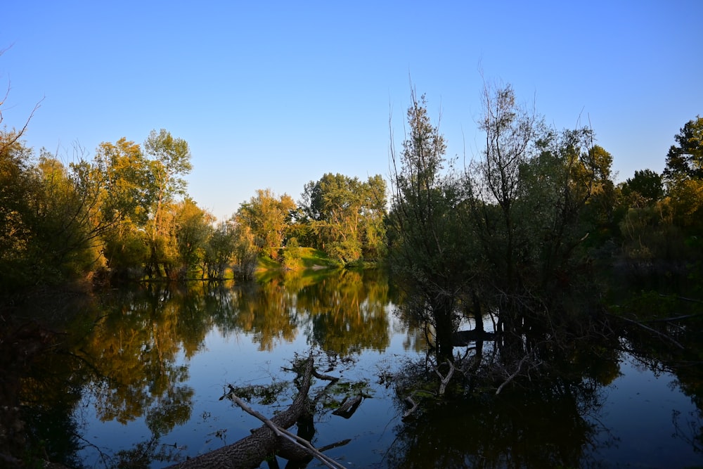 a body of water surrounded by trees and a blue sky