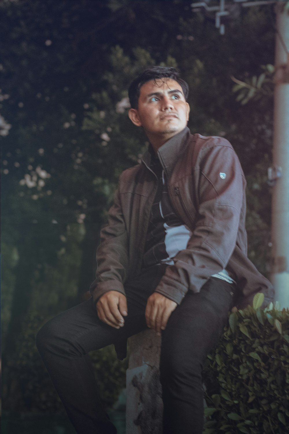 a man sitting on top of a tree stump