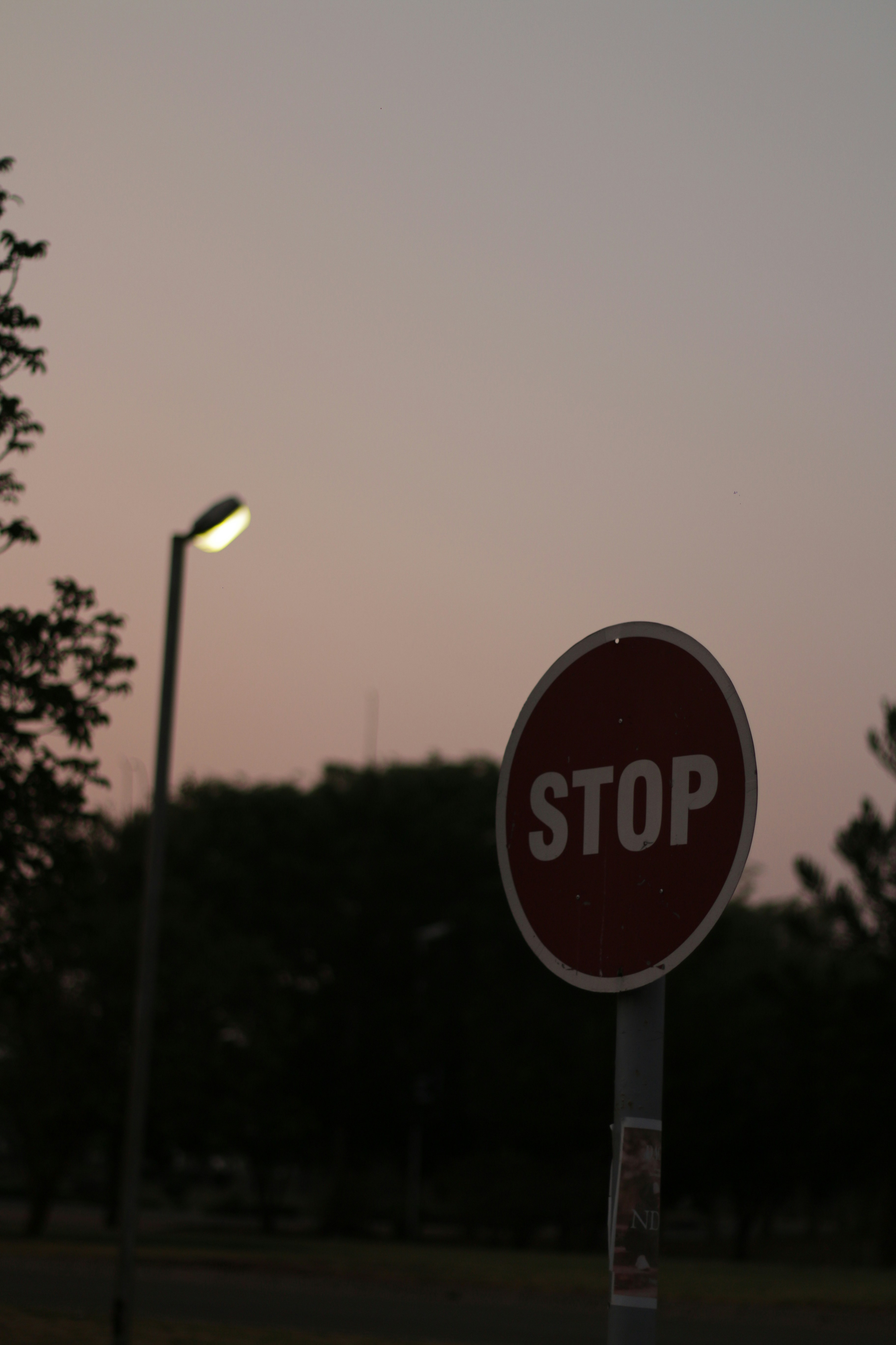 a red stop sign sitting on the side of a road