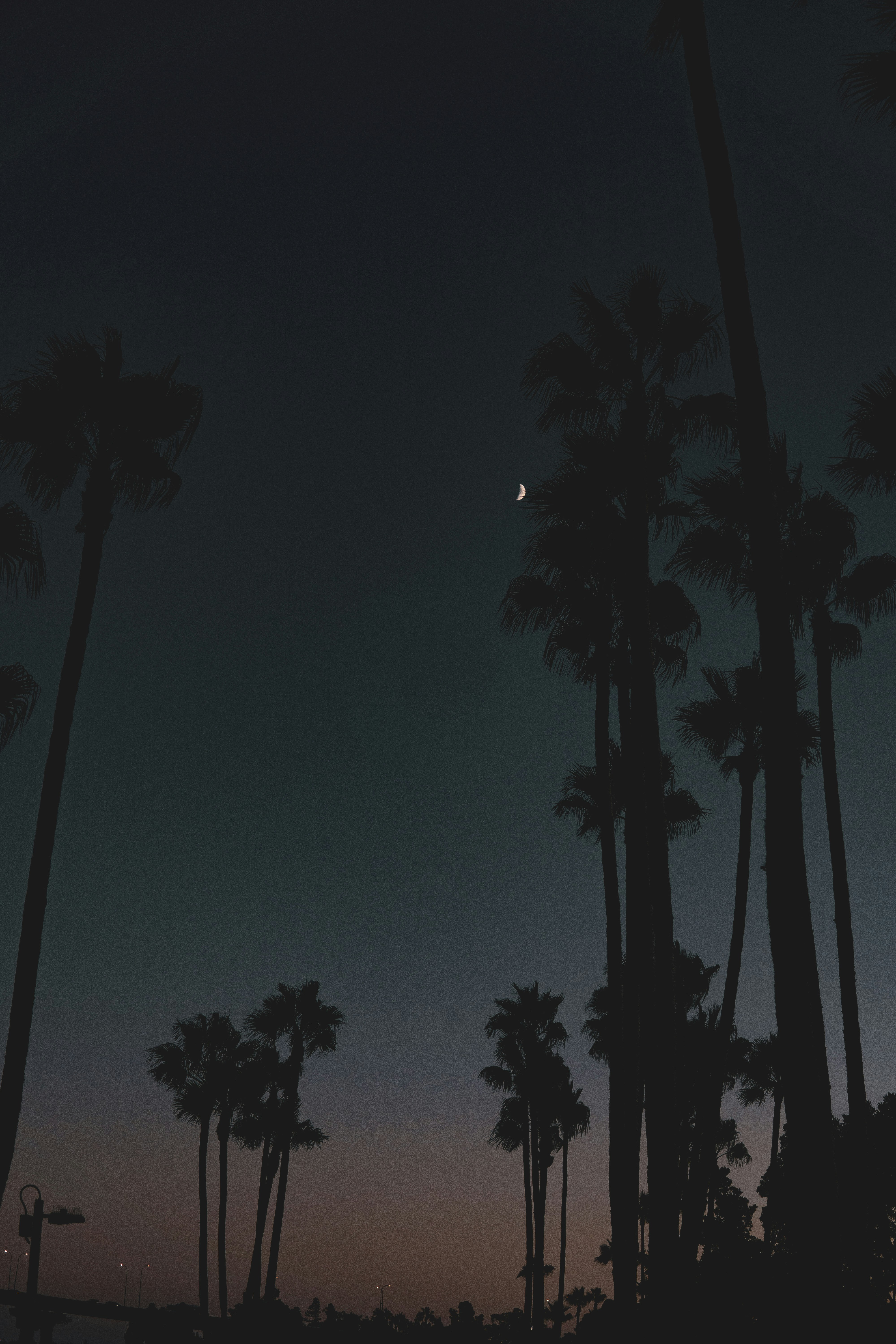 Photo by keepitchassephotography