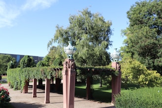 A pergola covered in lush green vines with decorative urns on top of brick pillars stands in a well-maintained garden. The surrounding area is filled with a variety of trees and plants under a clear blue sky.