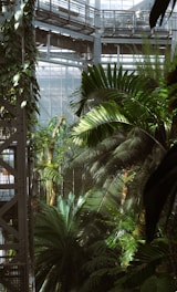 A lush indoor botanical garden with an abundance of tropical plants and palm leaves, surrounded by a metal and glass structure with walkways. The mixture of natural greenery and industrial design creates a unique and captivating environment.