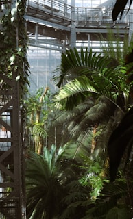 A lush indoor botanical garden with an abundance of tropical plants and palm leaves, surrounded by a metal and glass structure with walkways. The mixture of natural greenery and industrial design creates a unique and captivating environment.