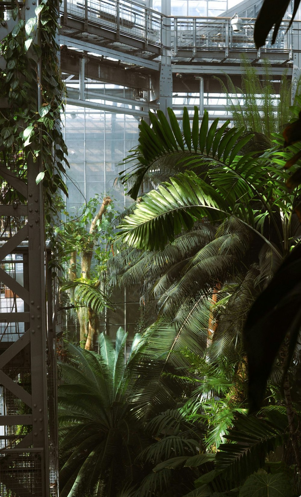 a room filled with lots of green plants