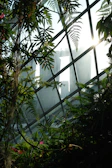 Interior garden visible through large windows, filled with greenery.