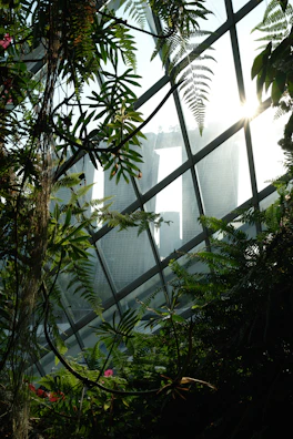 Interior garden visible through large windows, filled with greenery.