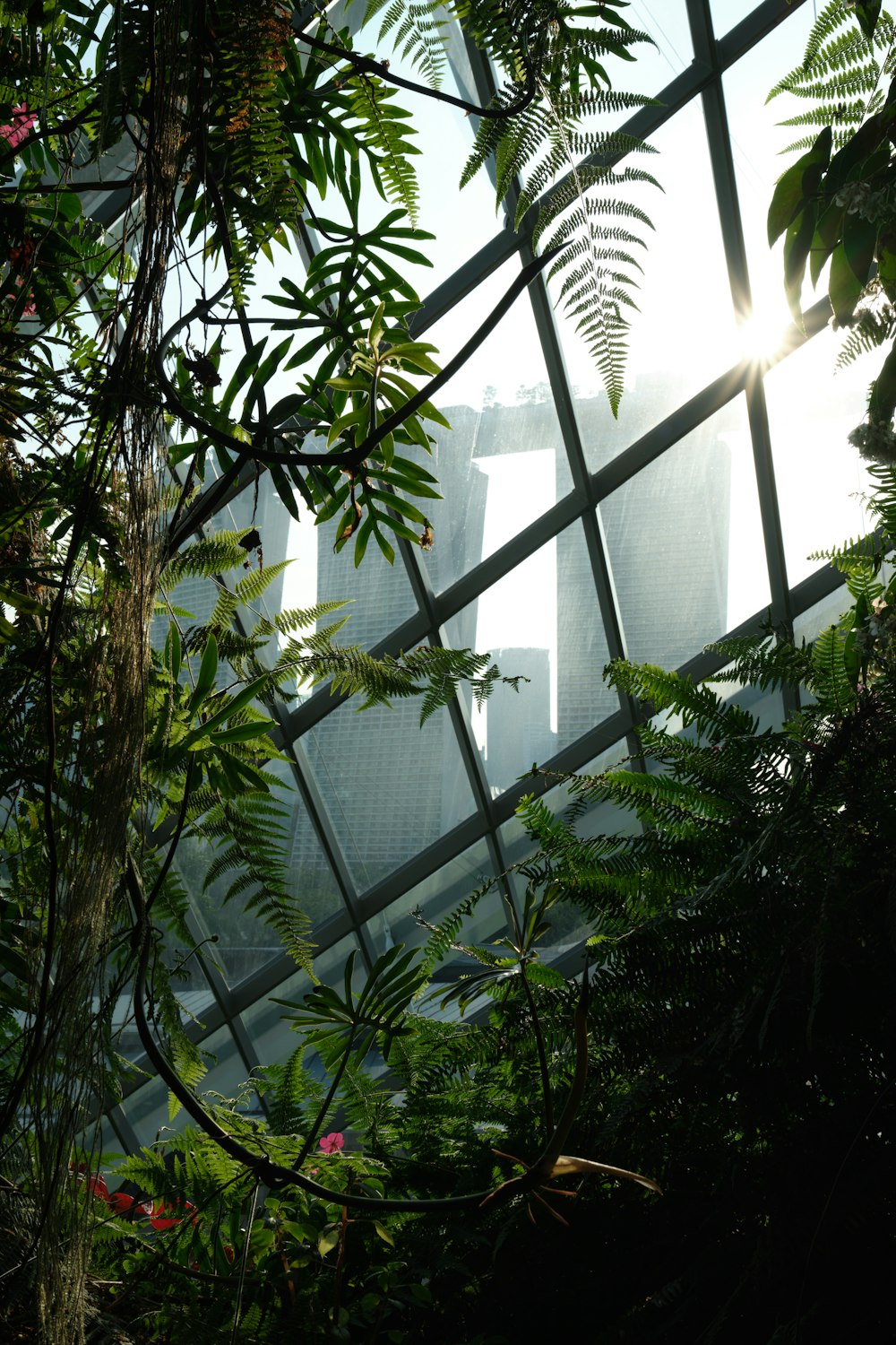 the inside of a building with a lot of plants growing inside of it