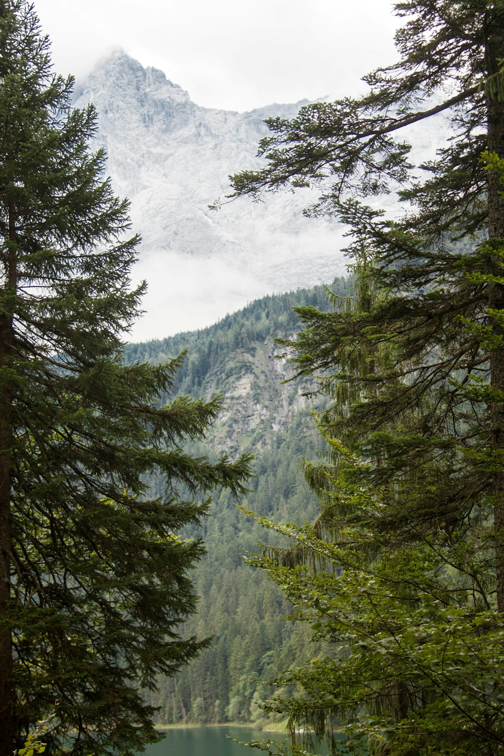 a lake surrounded by trees with a mountain in the background