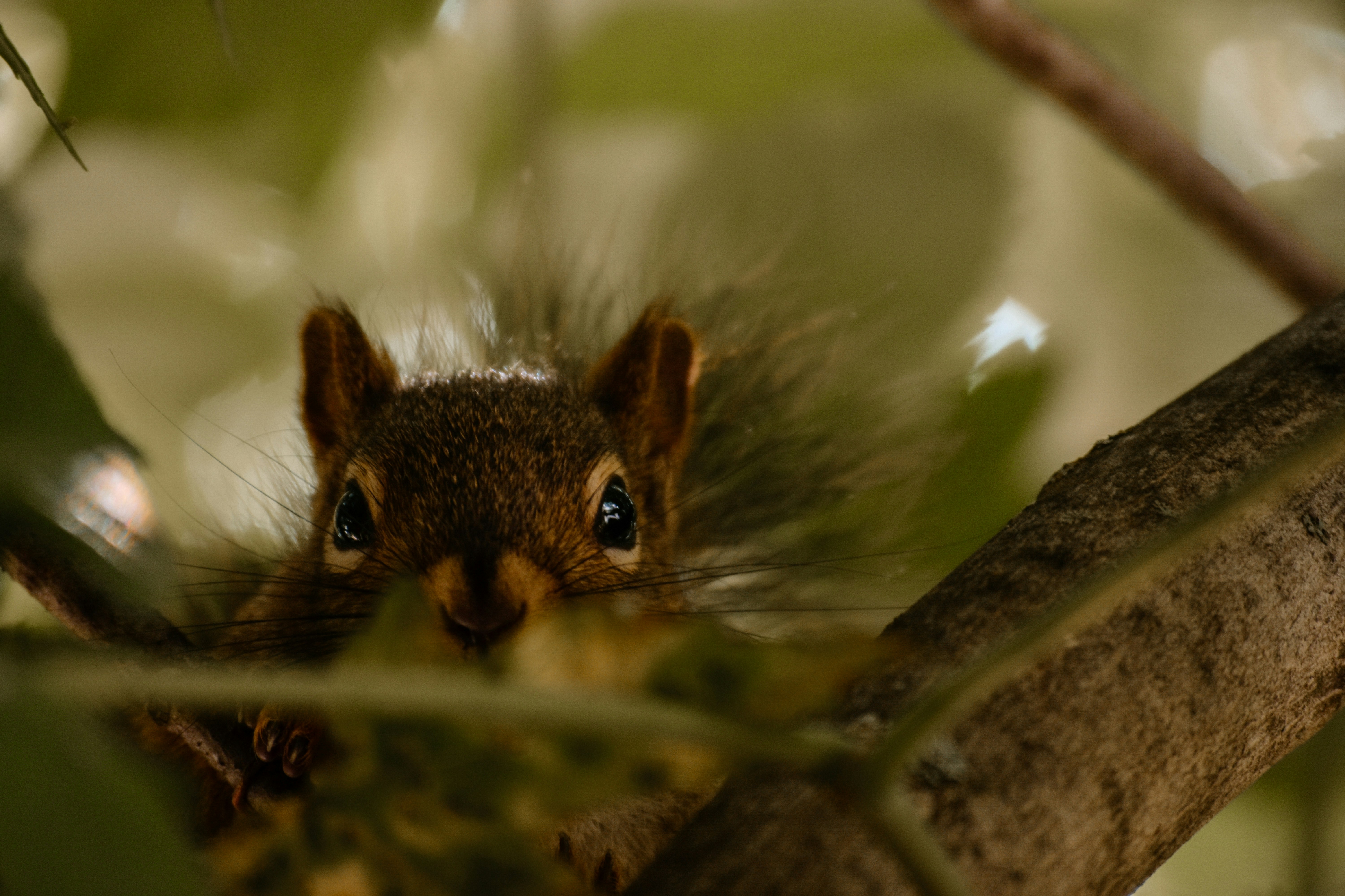 Photo by iambeecouture