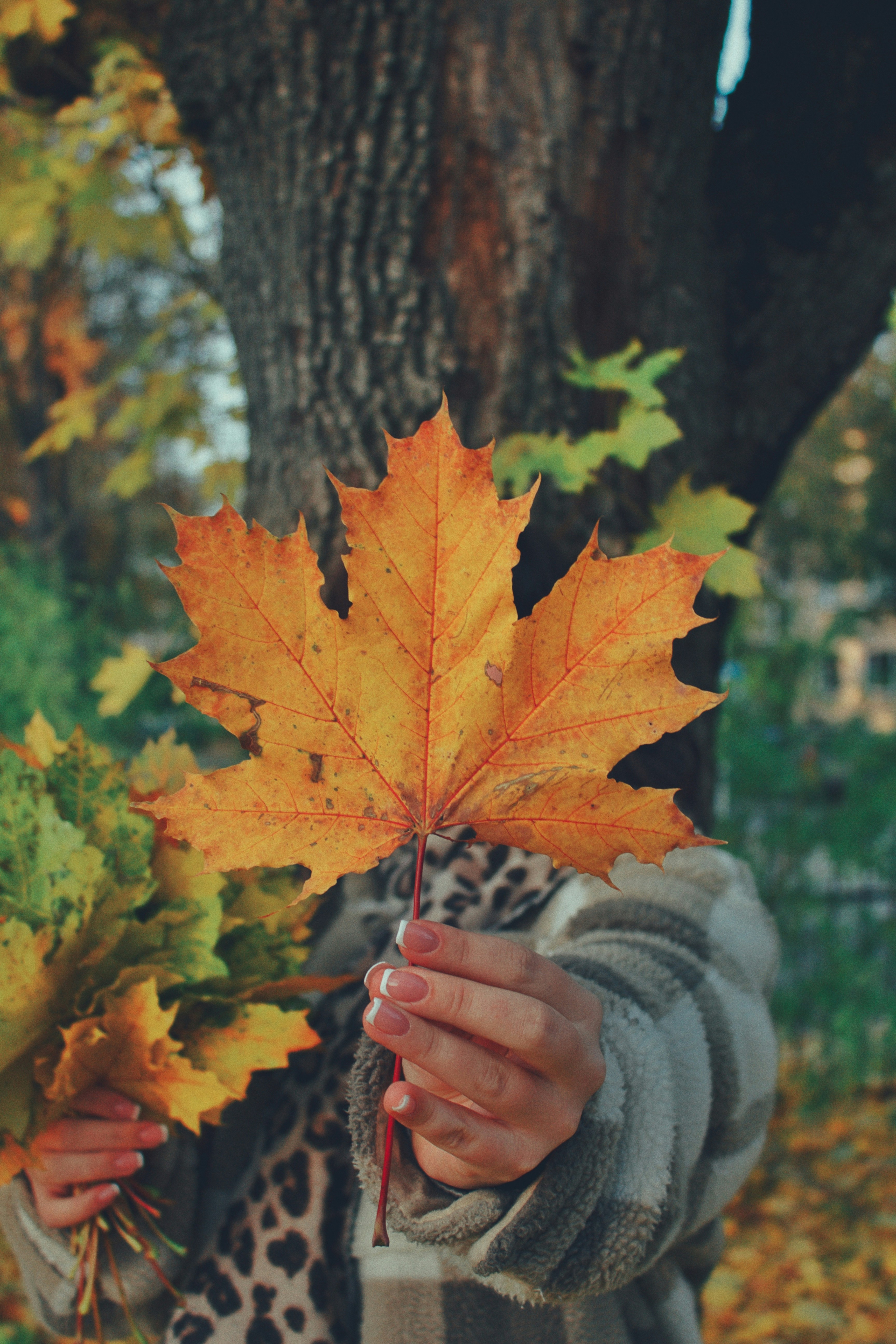 Photo by maximyuryshev