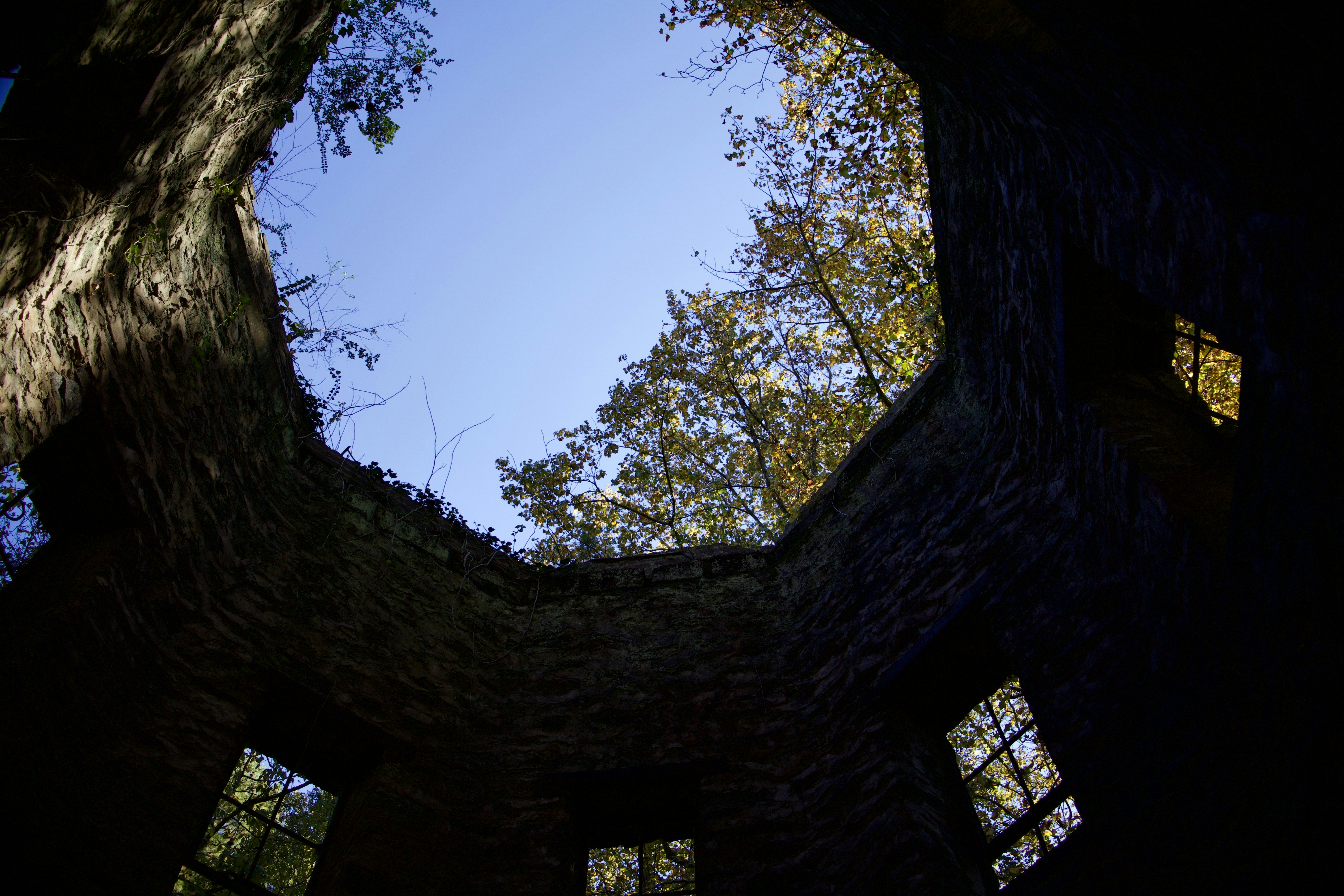 a view of the sky through a window in a tree