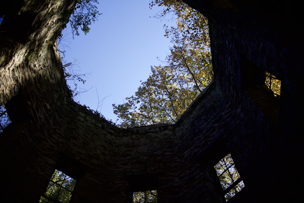 a view of the sky through a window in a tree