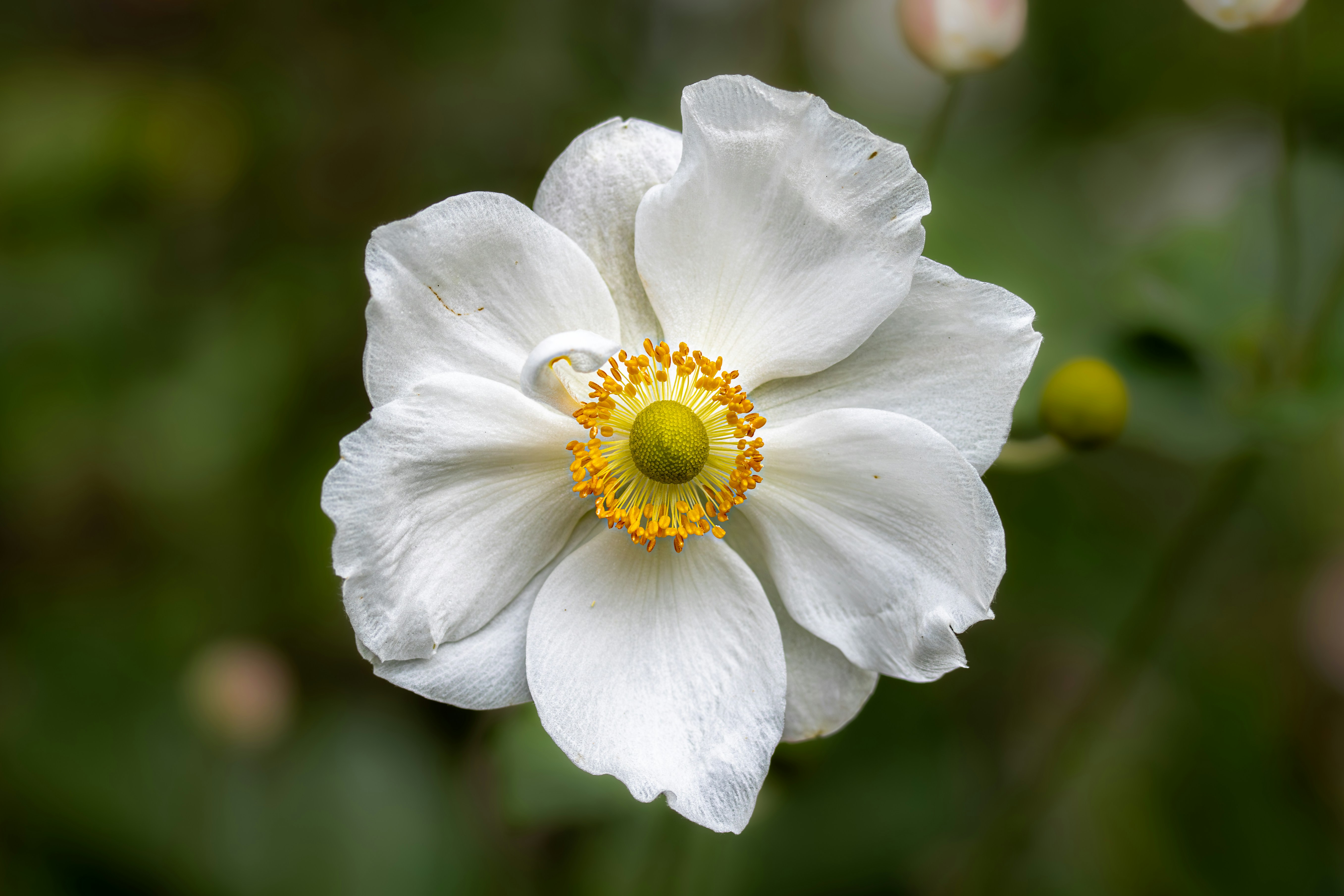 Photo by peterbbryan