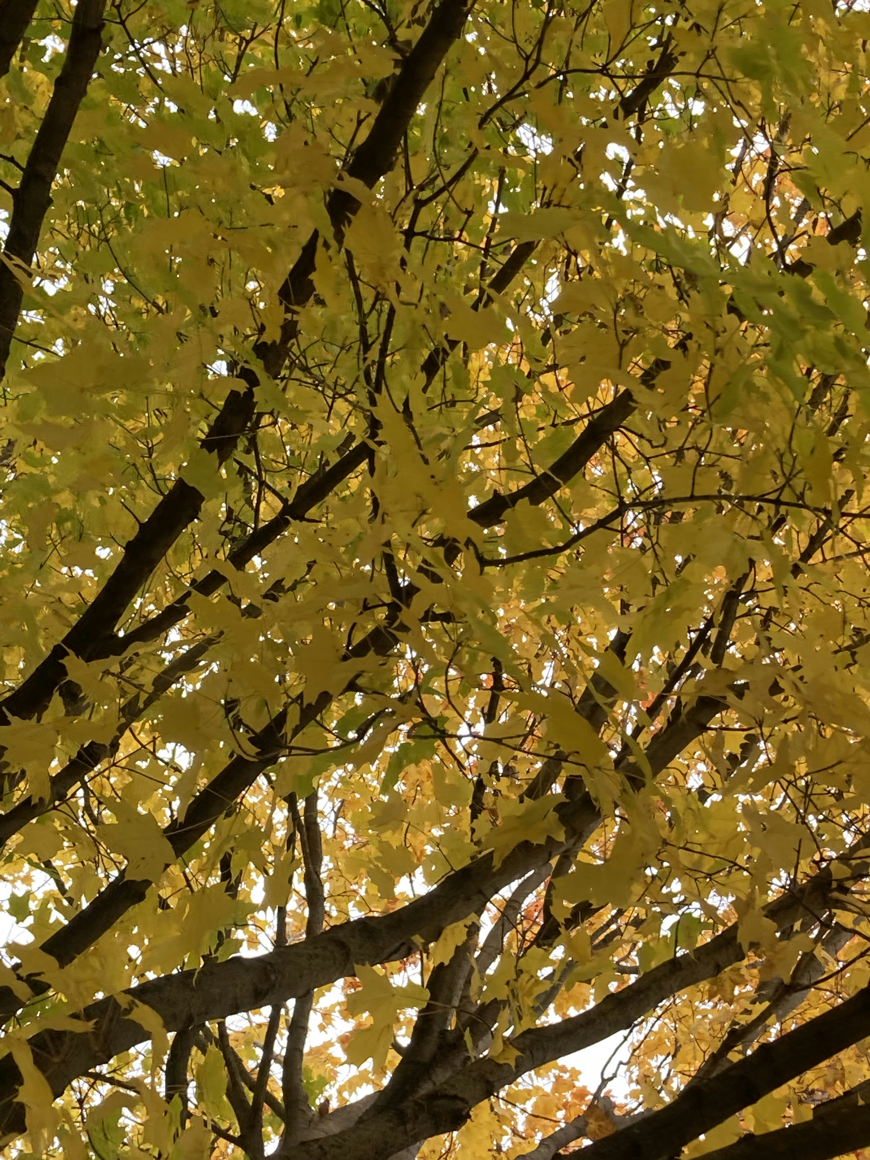 2023년 가을 드라마 추천