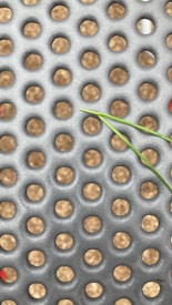 A metal surface with a grid of circular holes, revealing a background of blurred brown soil. A green plant stem with thin leaves is visible in the lower section.