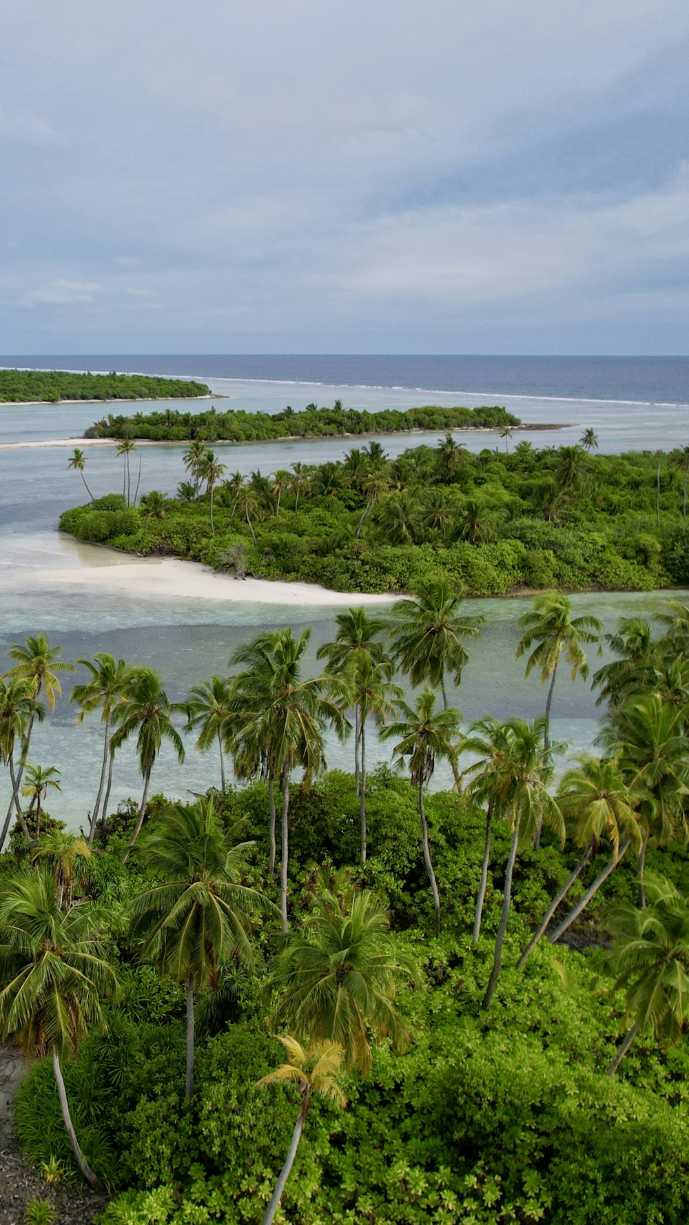 a tropical island surrounded by palm trees and water