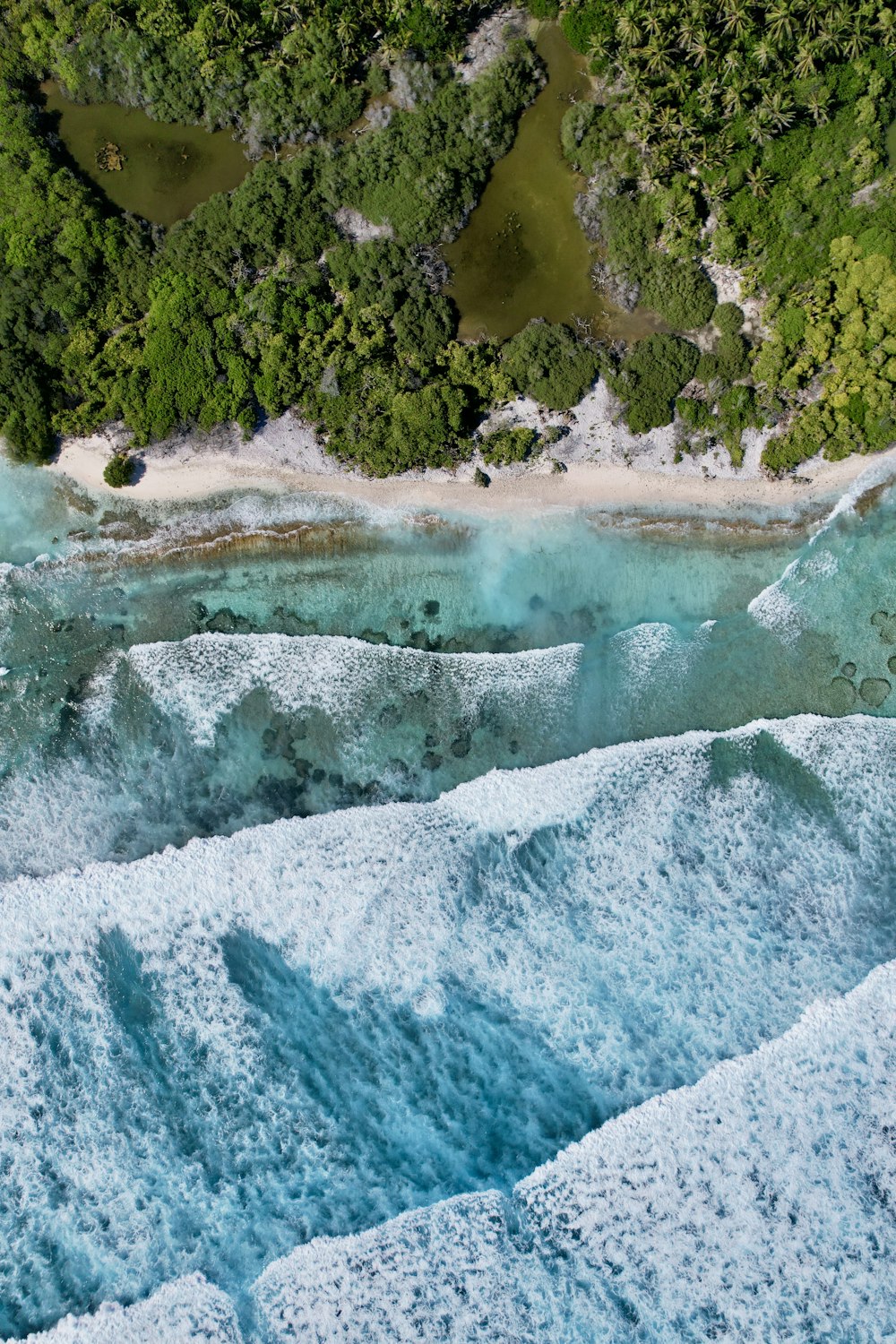 an aerial view of a beach and a body of water