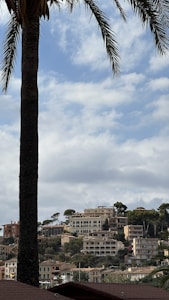 A scenic view of a coastal hillside with multiple large houses and villas surrounded by greenery. A tall palm tree is in the foreground, contrasting with a partially cloudy sky. The architecture consists of cream and earth-toned buildings, some with arched windows.