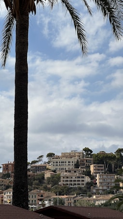 A scenic view of a coastal hillside with multiple large houses and villas surrounded by greenery. A tall palm tree is in the foreground, contrasting with a partially cloudy sky. The architecture consists of cream and earth-toned buildings, some with arched windows.