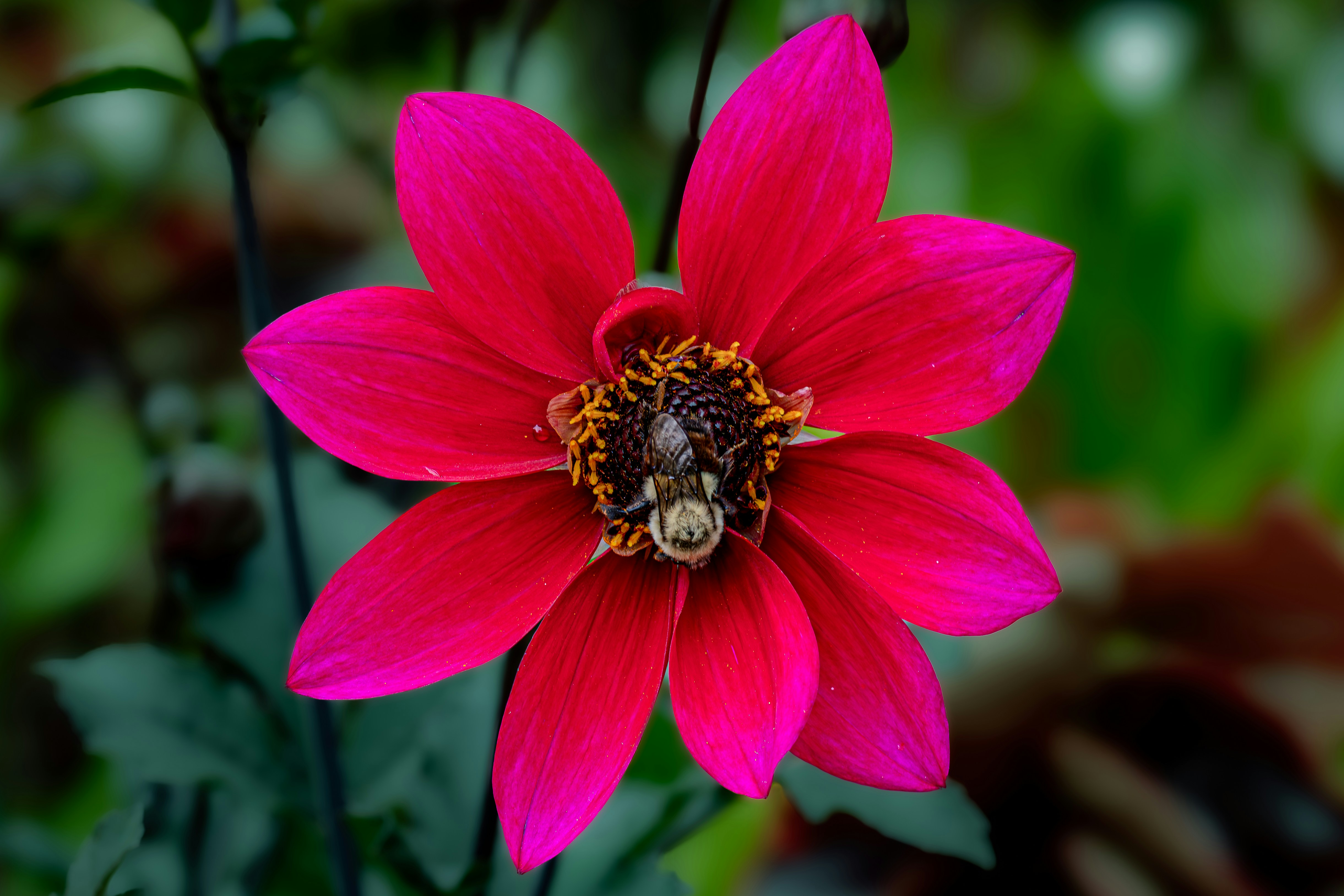 Photo by peterbbryan