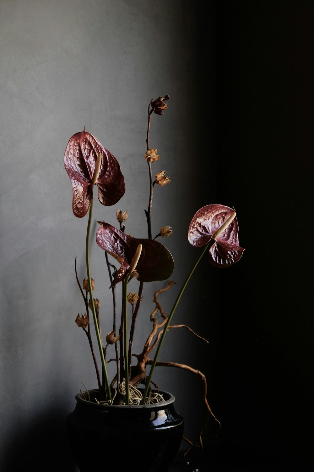 a vase filled with flowers on top of a table