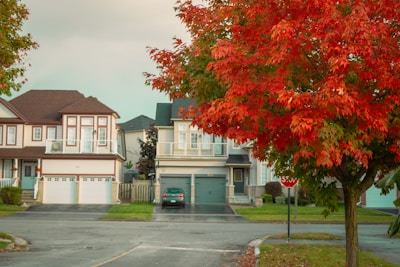 A residential neighborhood with a row of two-story houses featuring garages and well-kept lawns. A prominent tree with vibrant red and orange leaves stands by the sidewalk, indicating autumn. A parked car is visible in a driveway, and a 'stop' sign is positioned nearby.