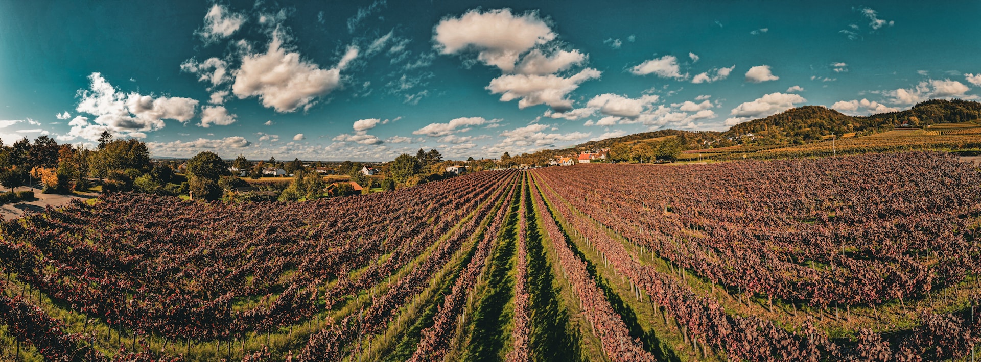 woman wearing yellow long-sleeved dress under white clouds and blue sky during daytime