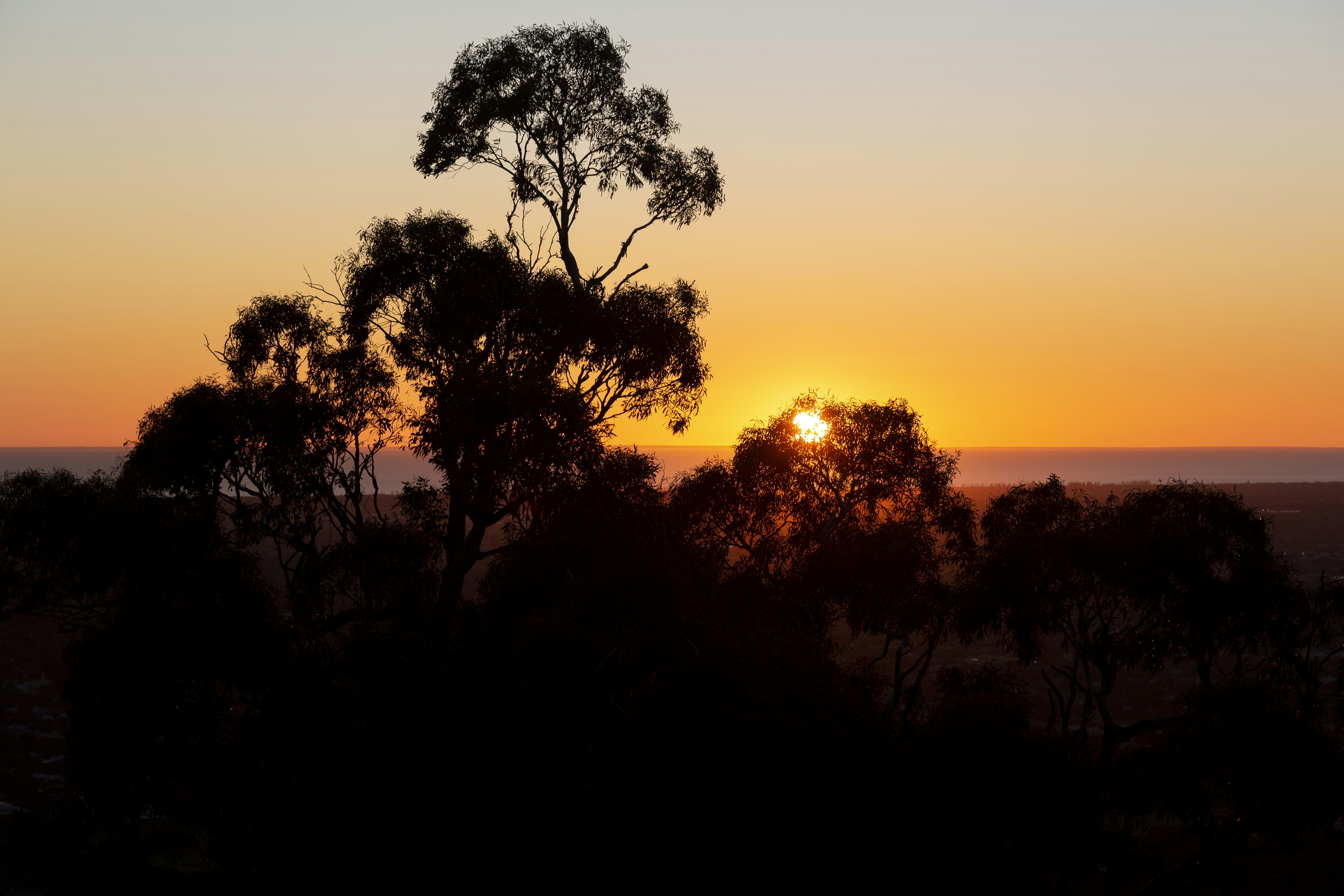 Photo by stephenmabbs