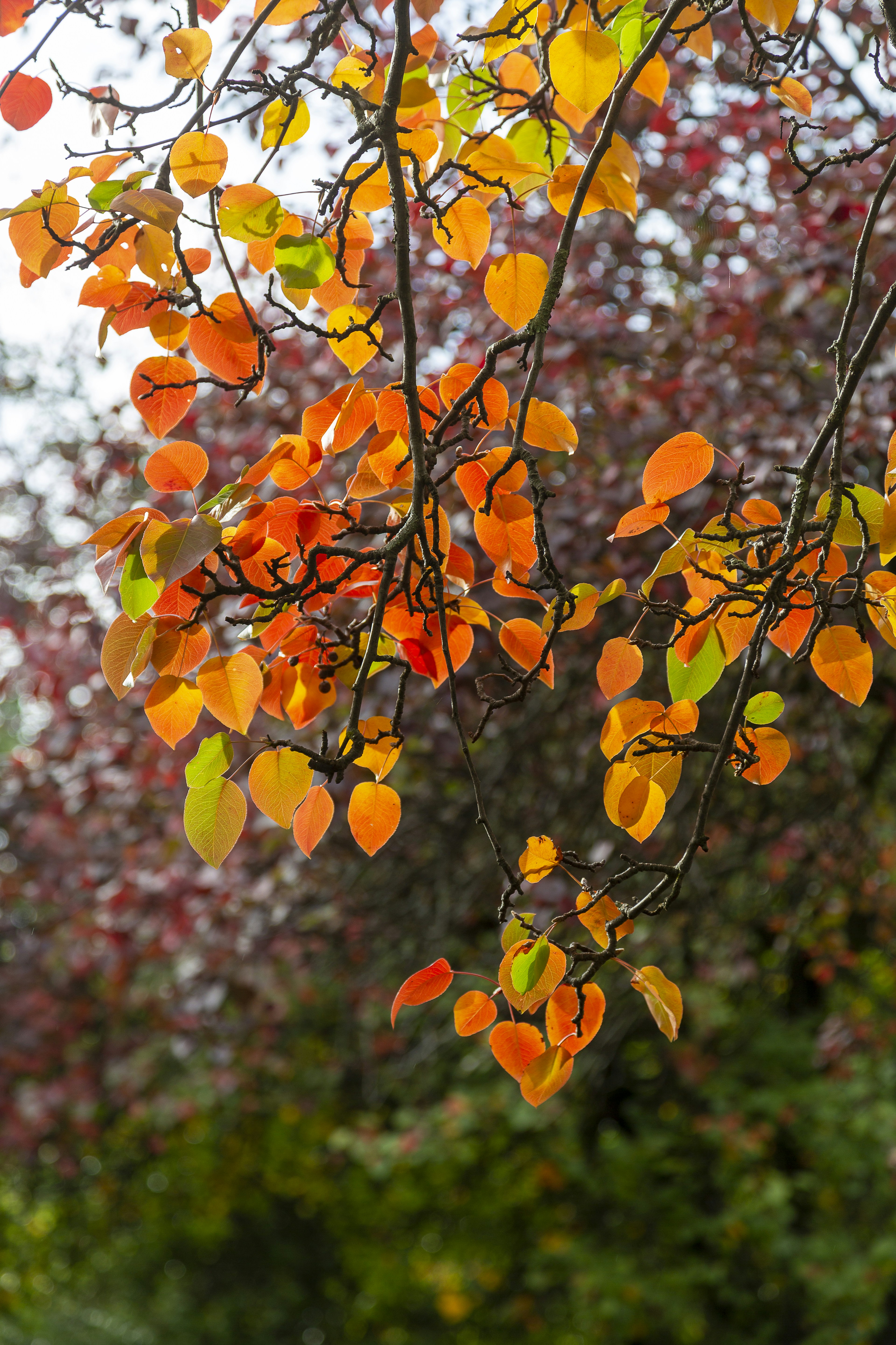 Photo by stephenmabbs