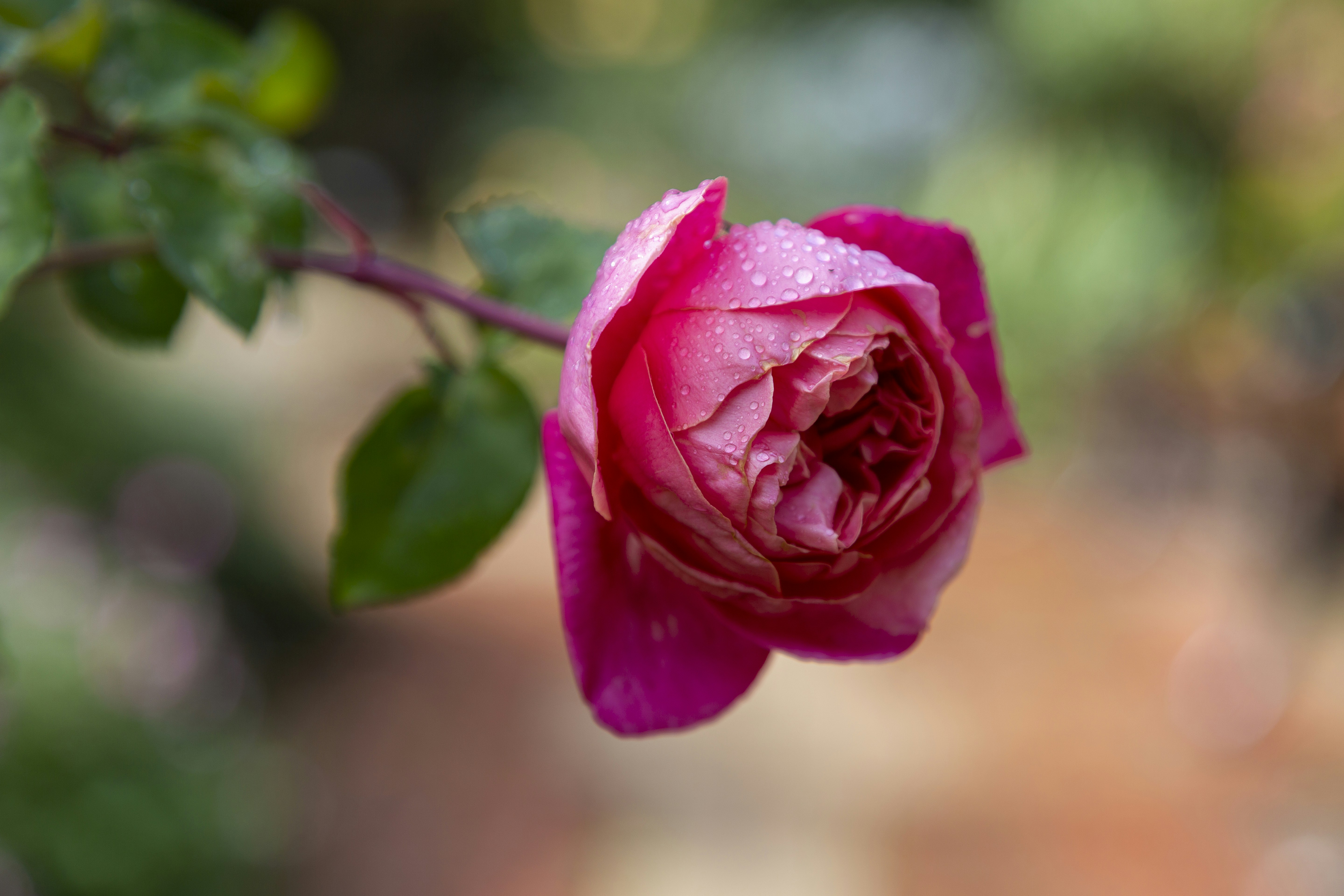 Photo by stephenmabbs