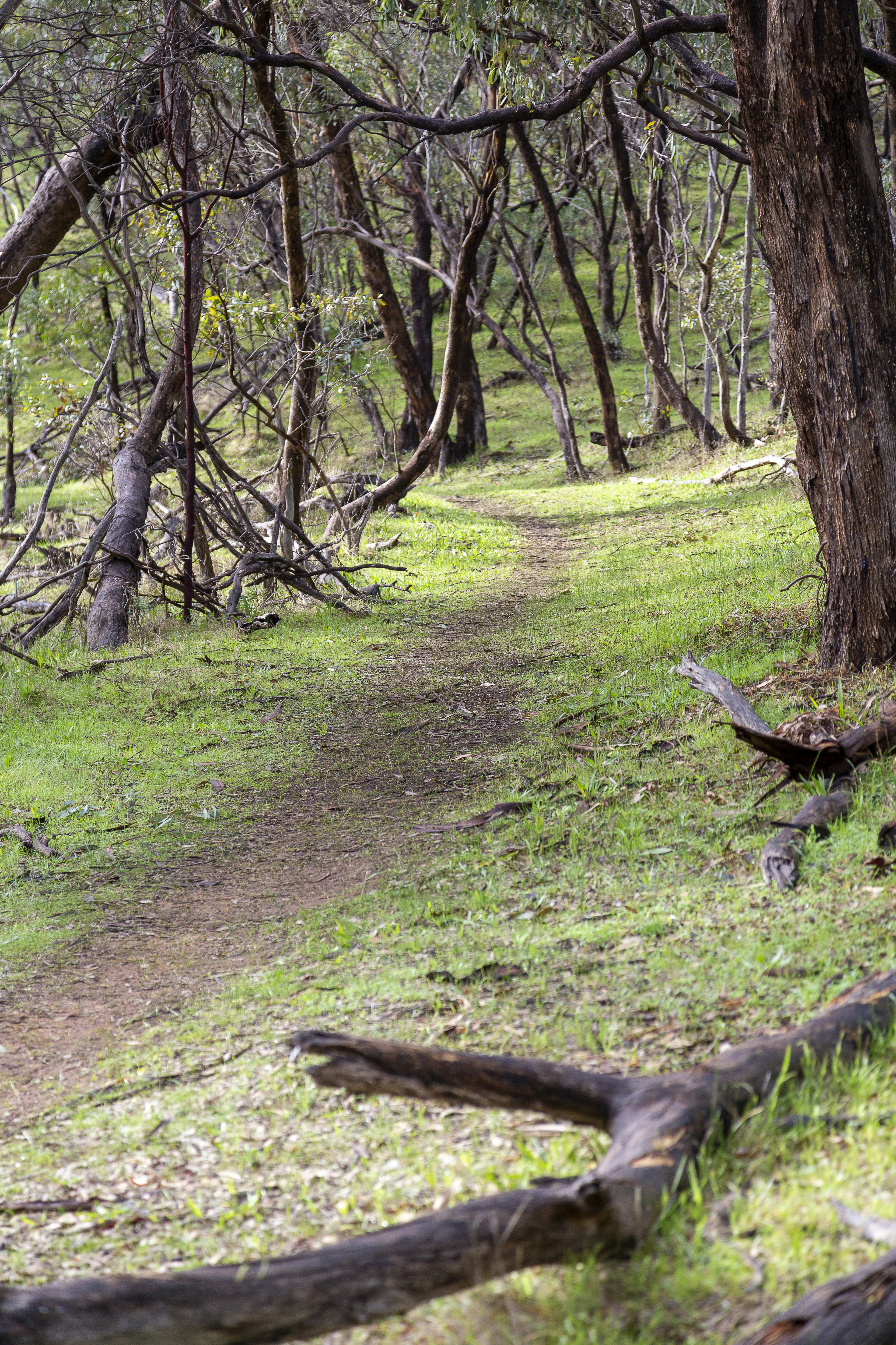 Photo by stephenmabbs