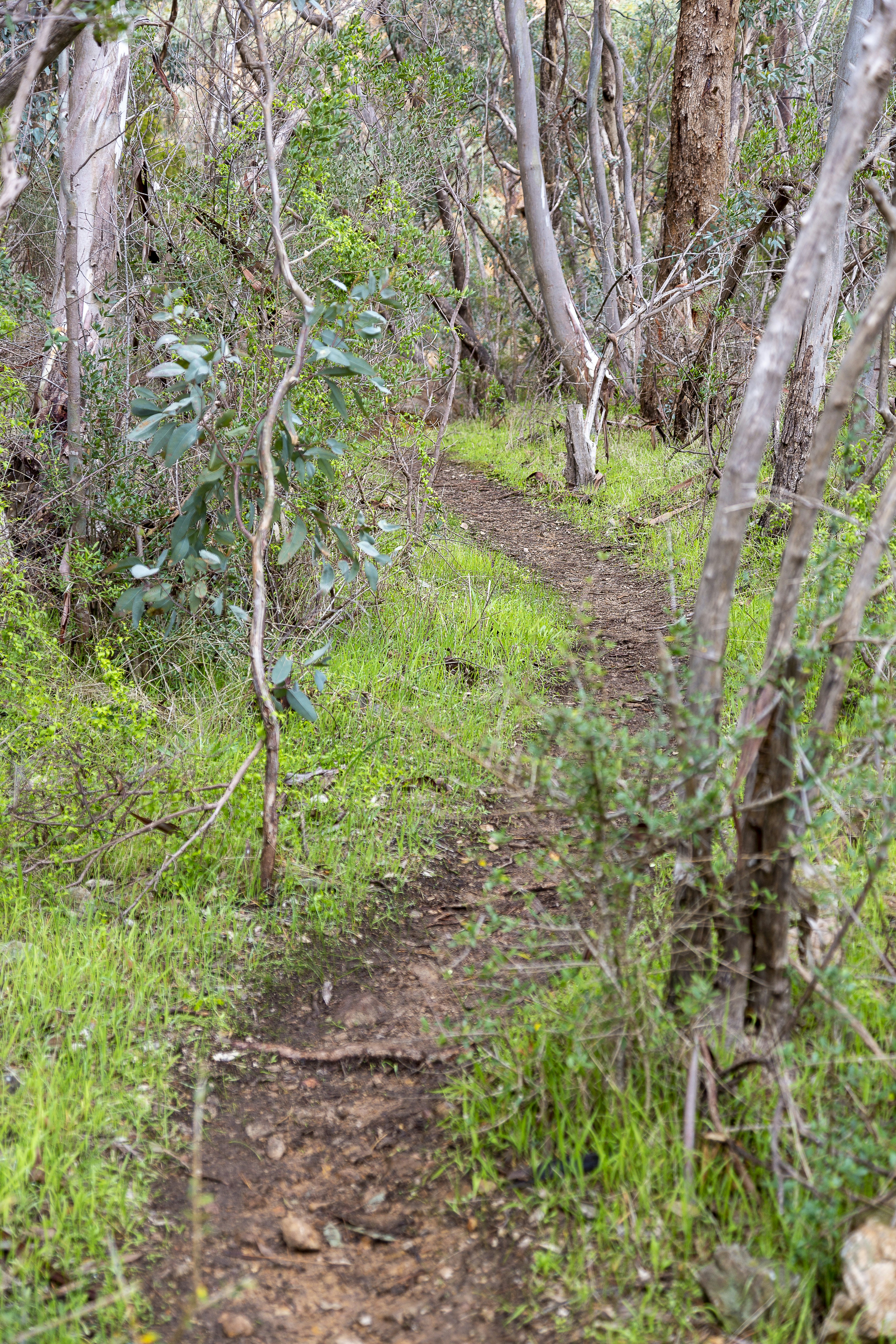 Photo by stephenmabbs