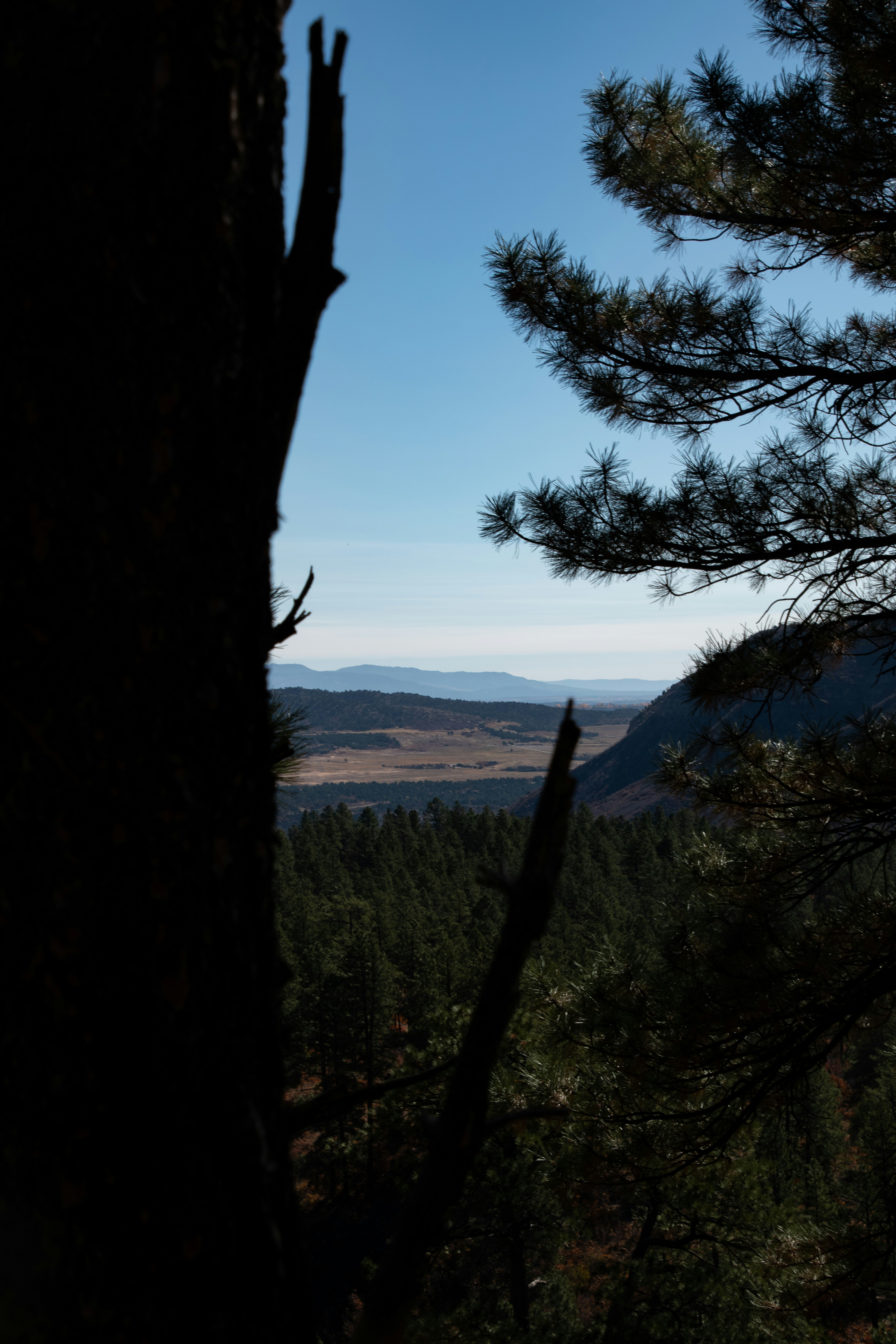 Photo by attaliehart