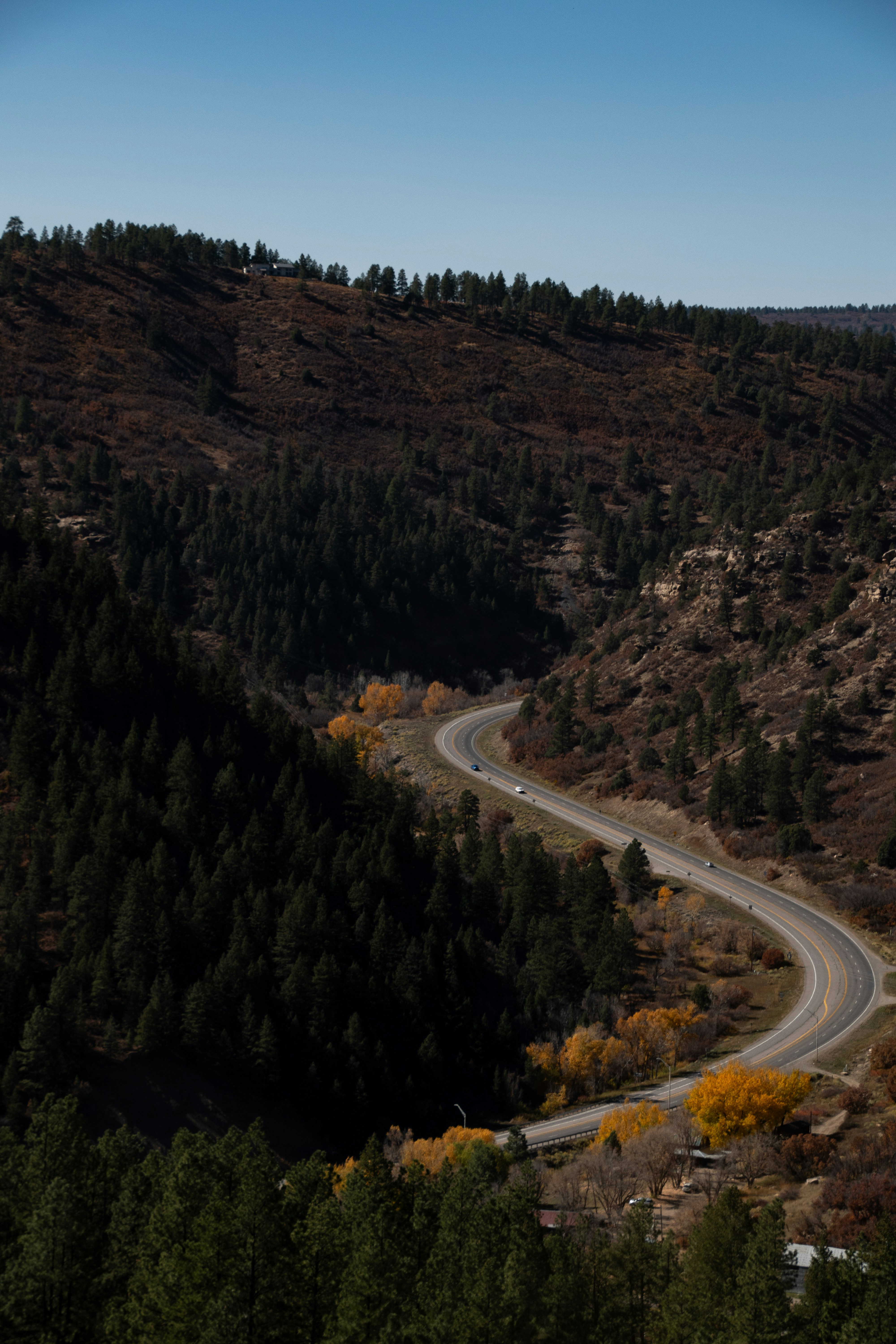 Photo by attaliehart