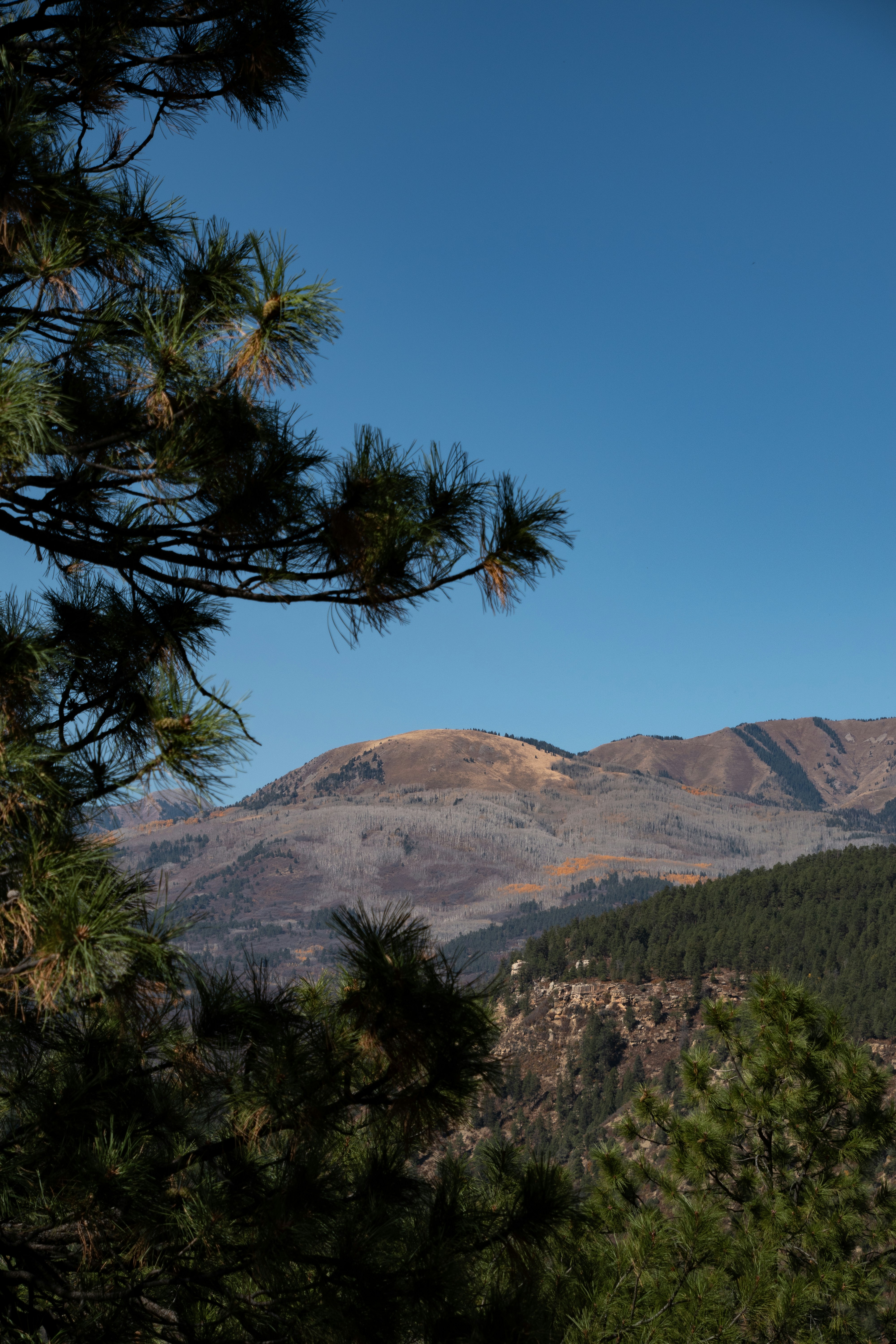 Photo by attaliehart